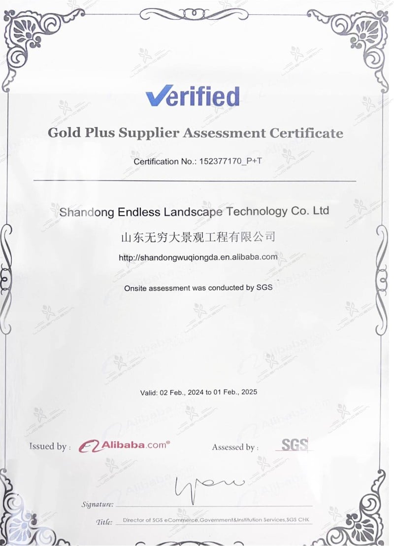 SGS-Certificate1
